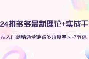 （10816期）2024拼多多 最新理论+实战干货，从入门到精通全链路多角度学习-7节课