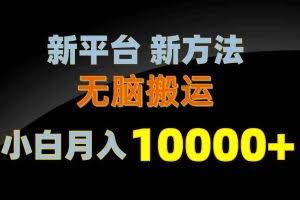 （10605期）新平台新方法，无脑搬运，月赚10000+，小白轻松上手不动脑