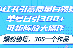 （11692期）小红书引高质量白领粉，单号日引300+，可放大操作，爆粉秘籍！30s一个作品