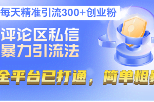 （12714期）评论区私信暴力引流法，每天精准引流300+创业粉，全平台已打通，简单粗暴