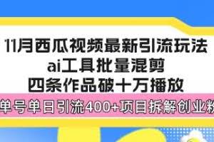 （13245期）西瓜视频最新玩法，全新蓝海赛道，简单好上手，单号单日轻松引流400+创…