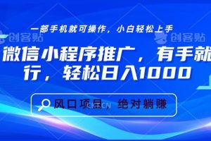 （13709期）微信小程序推广，有手就行，轻松日入1000+