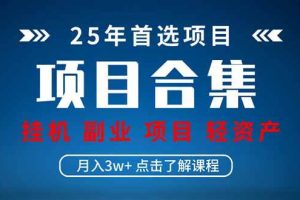 （14175期）2025 实操项目合集 挂机类型 直播类型 轻资产创业类型 课程分享各项目…