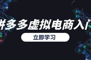 （15158期）拼多多虚拟电商入门，精准选品方法论，无货源模式起盘技巧