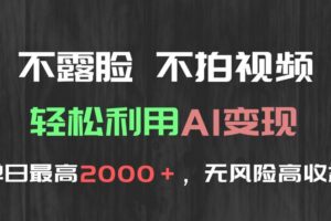（15034期）不露脸，不拍视频，轻松利用AI变现，单日最高2000＋，无风险高利润
