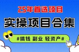 （14767期）2025实操项目合集 挂机类型 直播类型 轻资产创业类型 课程分享各项目介…