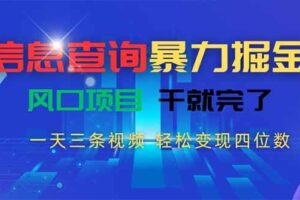 （15516期）信息查询暴力掘金，一天三条视频 轻松变现四位数，风口项目干就完了