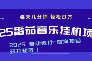 （16556期）2025最新挂机番茄音乐项目，每天几分钟，日入1000＋
