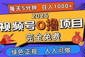 （16388期）2025视频号0撸项目，5分钟一个号，日入1000+，人人可做