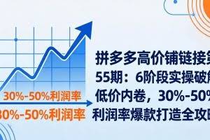 （17698期）拼多多高价铺链接第55期：6阶段实操破解低价内卷，30%-50%利润率爆款打造全攻略