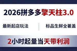 （18128期）2026拼多多擎天柱 3.0-更新4月20：最新起店玩法，标品生鲜全覆盖，2小时起量当天带利润