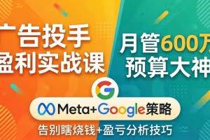 （17925期）广告投手盈利实战课：月管600万预算大神，带你告别瞎烧钱，Meta+Google策略+盈亏分析